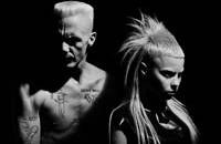 Die Antwoord