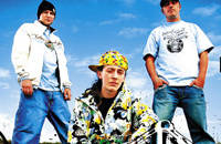 Krec & Chek