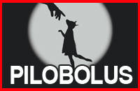 Театр танца Pilobolus (США)