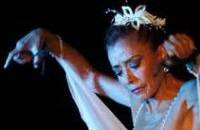 Соня Амелио '17 лет танца во имя мира'