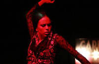 Концерт испанских танцоров фламенко