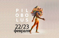 Театр танца Pilobolus.